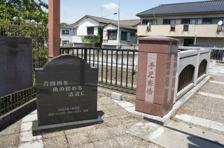 DSC02315-s20.jpg